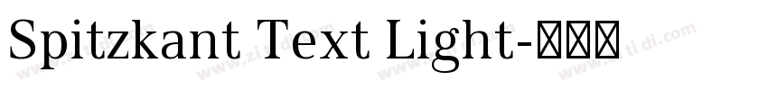 Spitzkant Text Light字体转换